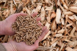 Buy Wood Pellets